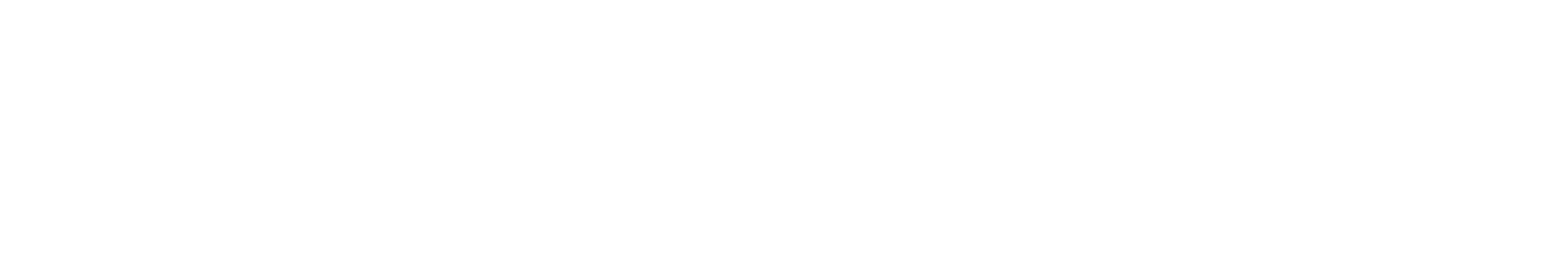 Supravex Logo White